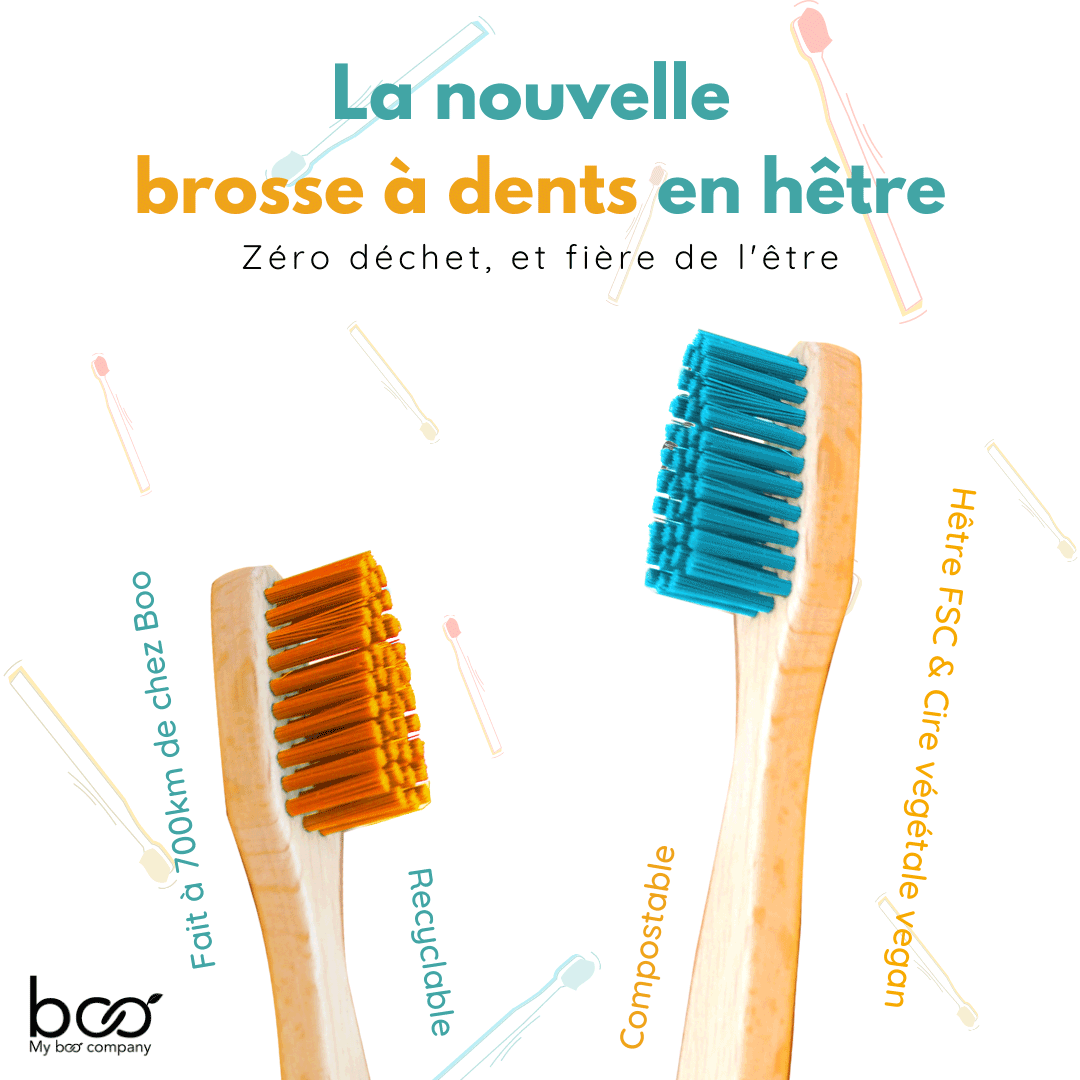 Brosse à dents en hêtre FSC fabriquée en Europe