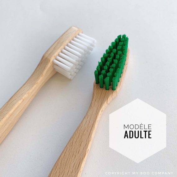 Brosse à dents en hêtre adulte